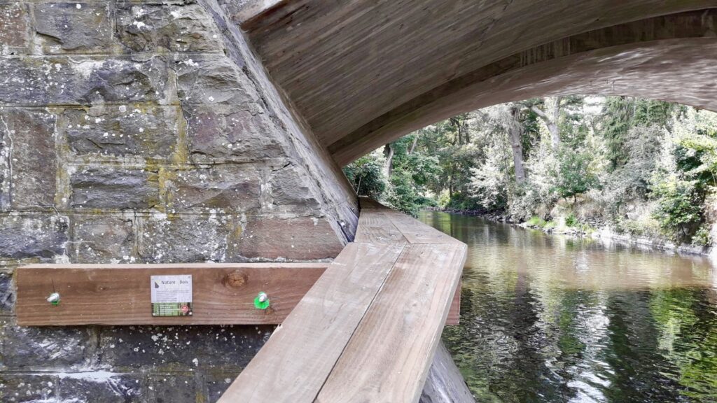 15426a74-69f3-4a51-ac7c-8f453b95c479