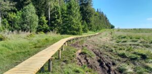Caillebotis, Hautes Fagnes en 2024