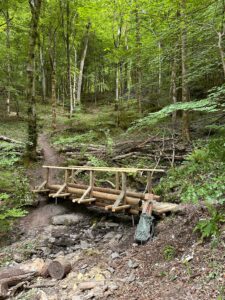Passerelles de la promenade du Sautou