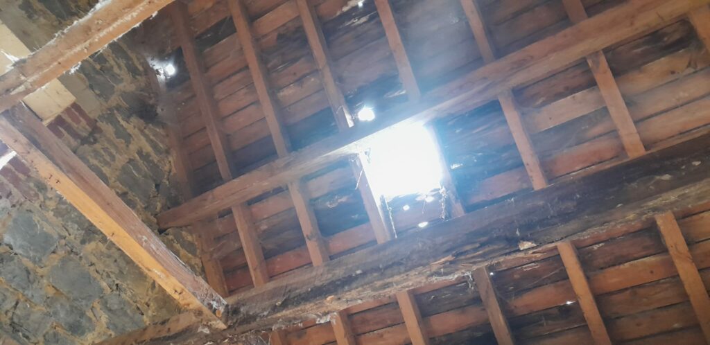 IMG-20251112-WA0010