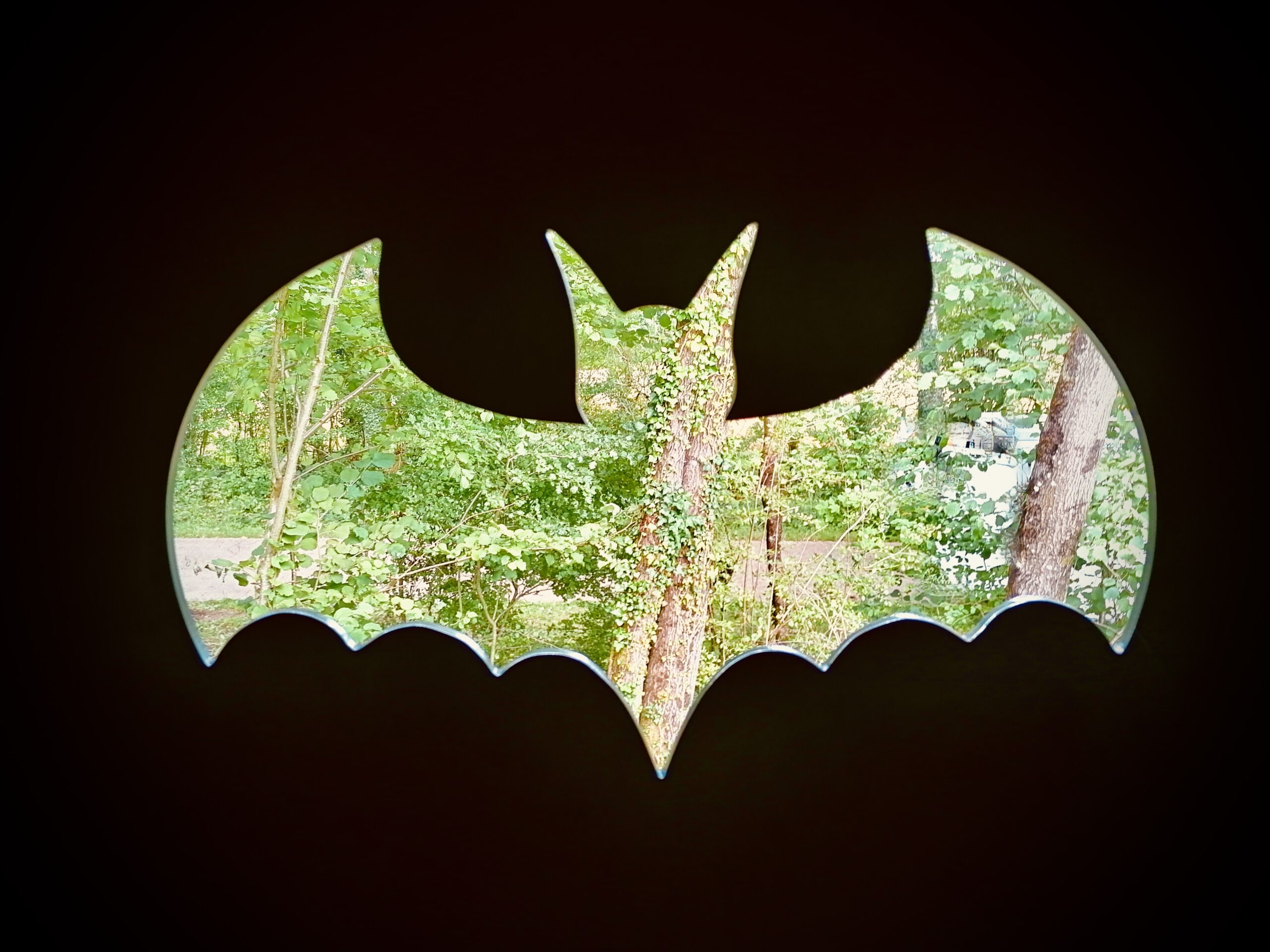 Aménagement en faveur des chauves-souris